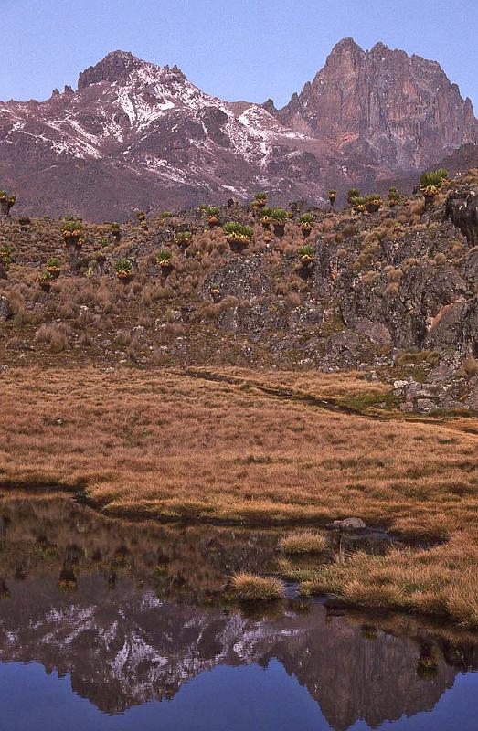 WT 1400 215-34 Kenya.jpg